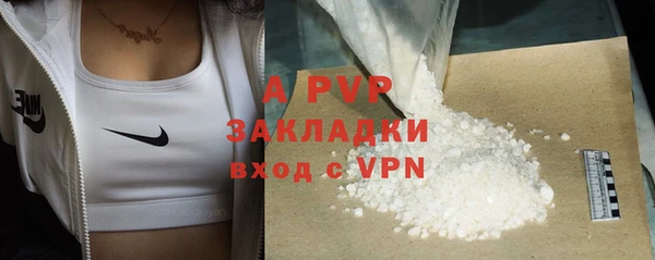 прущие грибы Абдулино