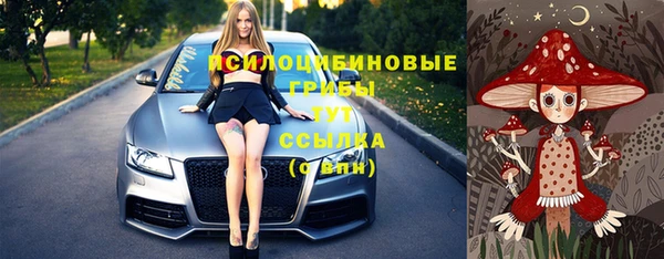 амф Абаза