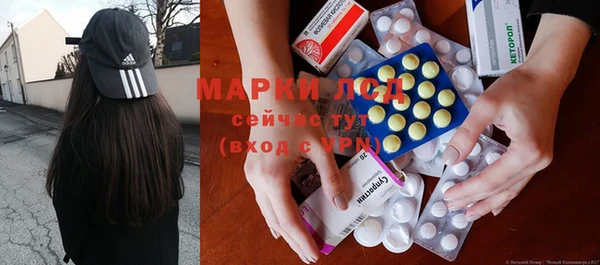 прущие грибы Абдулино