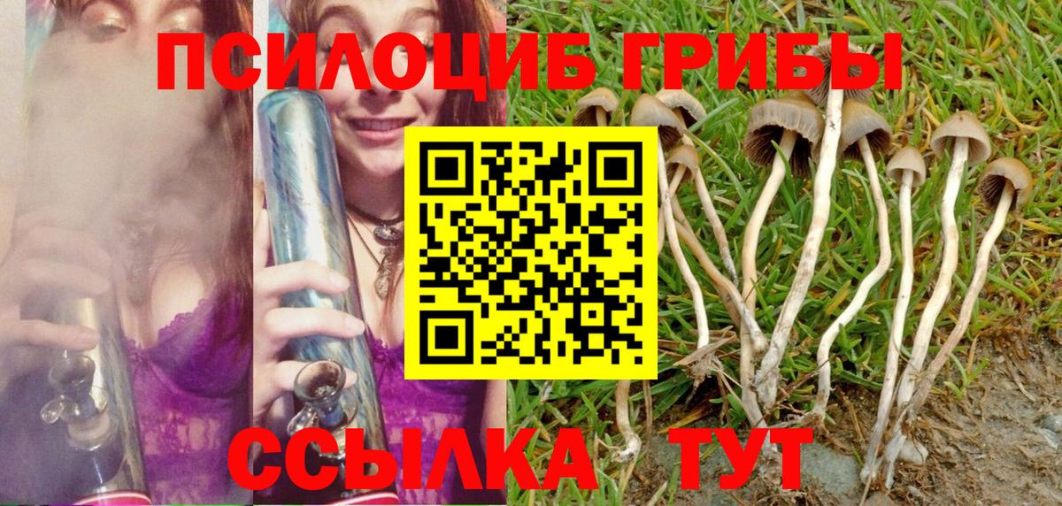 Смоленск  Псилоцибиновые грибы Magic Shrooms  Вход с VPN 